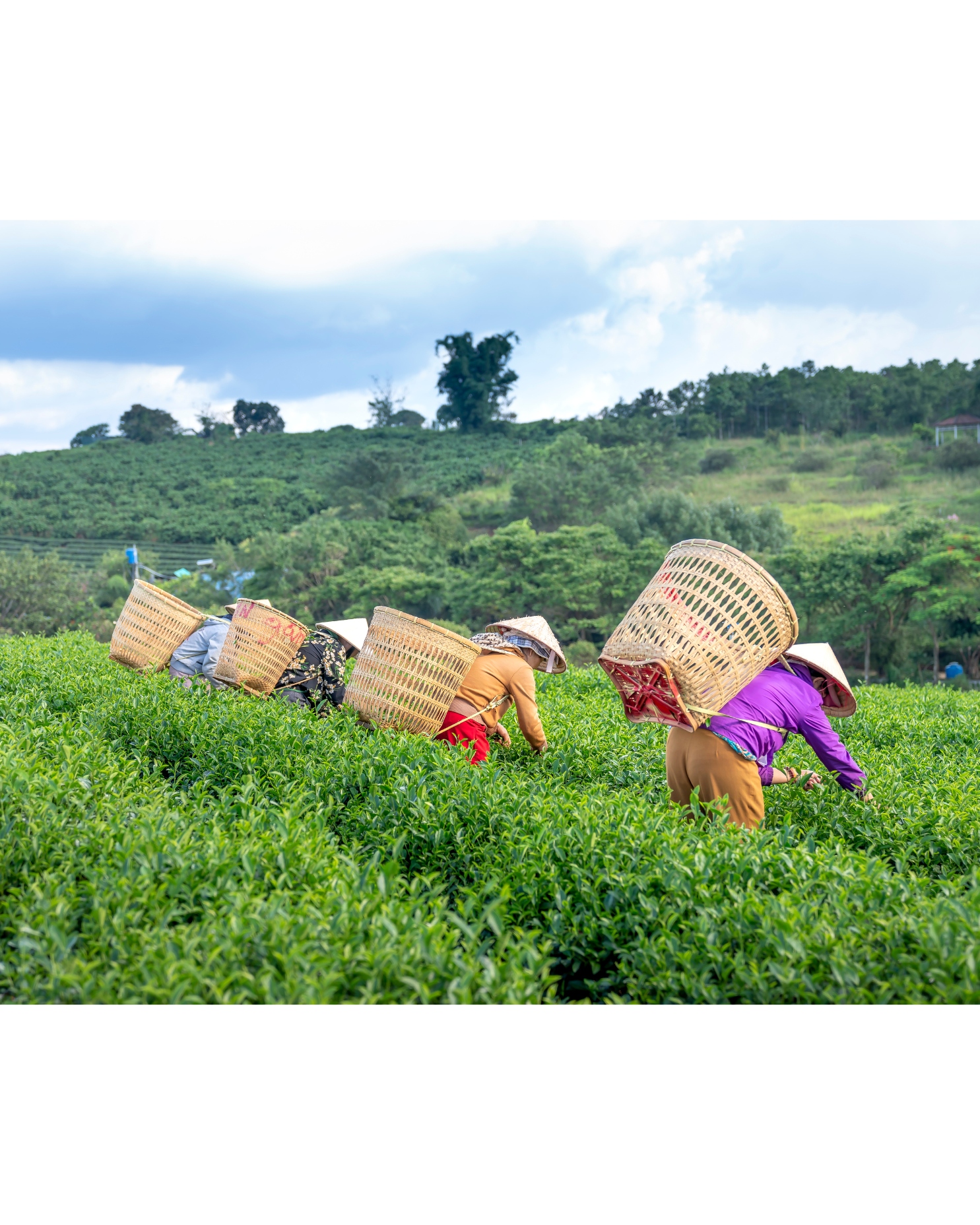 Expérience authentique